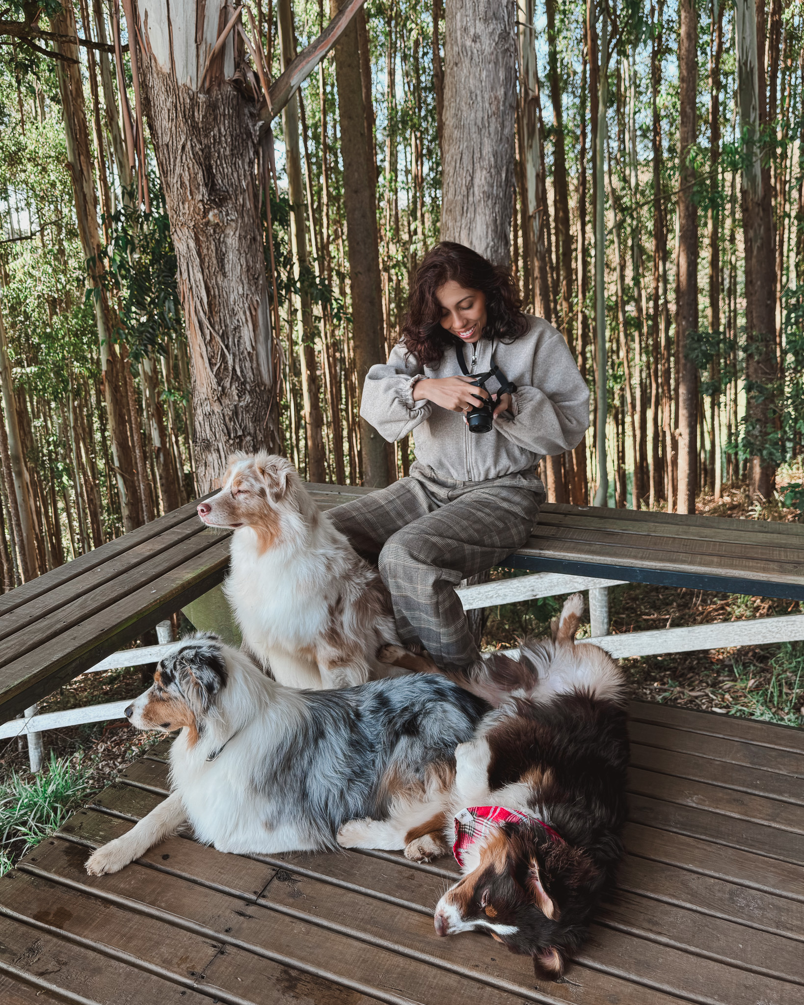 Banner de Lobito Handmades